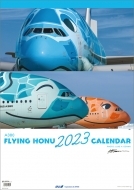 2023ǯ/Anaa380 Flying Honu / 2023ǯ