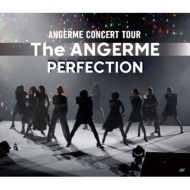 Angerme Concert Tour-The Angerme-Perfection