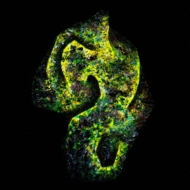 Hijosen/��Ͽ̤���