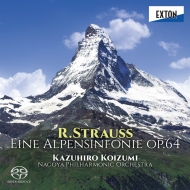シュトラウス、リヒャルト（1864-1949）/Eine Alpensinfonie： 小泉和裕 / 名古屋po (Hyb)