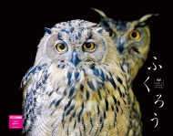 �ӂ��낤�J�����_�[ 2023