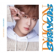 DICON D'FESTA MINI EDITION STRAY KIDS CHANGBINsSzt