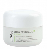 �_�[�}�G�N�g�V�J13 �N���[��