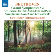 ١ȡ1770-1827/(Hummel)sym 2 6  Grodd(Fl) Pettman Ensemble