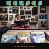 CDアルバム｜Kansas (カンサス)｜商品一覧｜HMV&BOOKS online