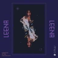 Labyrinth Of The Subconscious