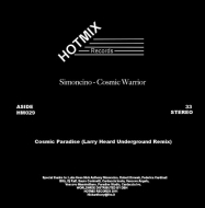 Cosmic Warrior (Larry Heard & Ron Trent Remixes)(12C`VOR[h)