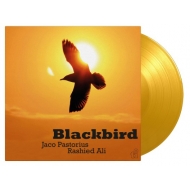 Blackbird (J[@Cidl/180OdʔՃR[h/Music On Vinyl)