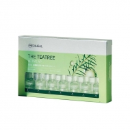 The Teatree �A�N�e�B�u���e�t