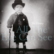 Joe Henry/All The Eye Can See