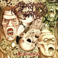 邦楽 DEAD PERSON ROTTENGRAFFTY 25th Anniversary 響都グラフティー 京都パルス