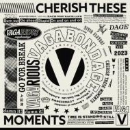 vagarious vagabondage/Cherish These Moments