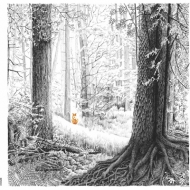 Shadow Called Danger