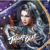 Mega Fantasy [Jaguar Beat]