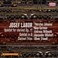 Clarinet Quintet, Clarinet Trios, Quintet: Johanns(Cl)Karmon(Vn)Willwohl(Va)Hulshoff(Vc)Triendl(P)Etc