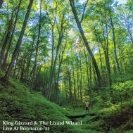 King Gizzard & The Lizard Wizard レコード レコード｜King Gizzard & The Lizard Wizard (キング・ギザード