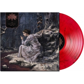 Air Not Meant For Us