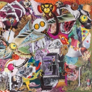 Giraffes Giraffes/Memory Lame (Purple / Green Color Vinyl)