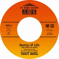 Source Of Life (DJ KOCO Re Edit)/ Solar Strut