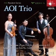 シューベルト（1797-1828）/Piano Trio 1 ： 葵トリオ +schumann： Piano Trio 1