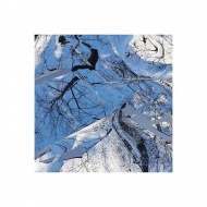 Legacy & Broken Pieces