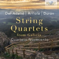 ڻͽնʽ/String Quartet-del Adalid Arriola Duran Cuarteto Novecento