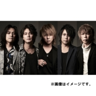 SOPHIA LIVE 2022 DVD 2枚組 SOPHIA LIVE 2022 ”SOPHIA” 【DVD 通常盤】 (2DVD) : SOPHIA