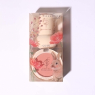 �s���A�u���b�V���[ 01 / ���r�b�g