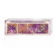 �x�A�V���h�E�p���b�g / 08 ���[��