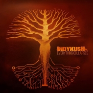 Everything Collapses