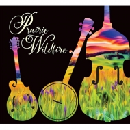 Prairie Wildfire