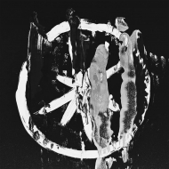 Heartworms/Comforting Notion