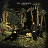 Echo  The Bunnymen/Evergreen (25 Year Anniversary Edition)(Rmt)