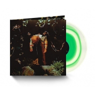 Worm Food (color vinyl/analog record)