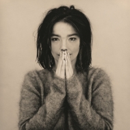 美品⭐️ Bjork ビョークHomogenicアナログレコード - 洋楽