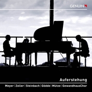 (Piano Duo: Walter)Symphony No.2 : Gregor Meyer, Walter Zoller(P)Steinbach(S)Godde(A)Mutze(Tp)Gewandhaus Choir