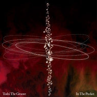 Toshi The Groove/In The Pocket