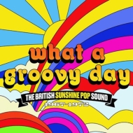 Various/What A Groovy Day - The British Sunshine Pop Sound 1967-1972 - 3cd Clamshell Box