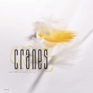 Cranes/John Peel Sessions (1989-1990)