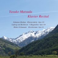 ԥΡ󥵡/Ĺҡ Piano Recital 2022 õ-brahms Beethoven Schumann