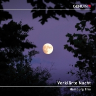 (Piano Trio)verklarte Nacht: Hamburg Trio +zemlinsky: Piano Trio, Schubert: Notturno