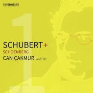Piano Sonata, 4, 20, : Can Cakmur +schoenberg