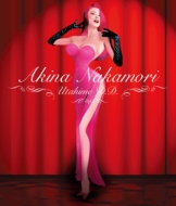 Akina Nakamori-Utahime Double Decade-