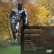 String Orchestra Classical/String Cosmology Mandarano / Sinfonietta Of Riverdale