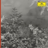 Pendant World  (Vinyl)