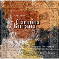 *brasswind Ensemble* Classical/ؿճ Orff Carmina Burana