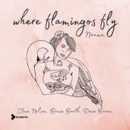 Naama Gheber/Where Flamingos Fly