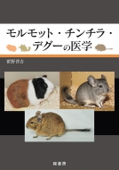/åȡ顦ǥΰ
