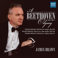 ١ȡ1770-1827/A Beethoven Odyssey Vol.7-piano Sonata 30 31 32  James Brawn