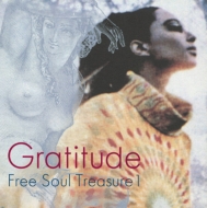 Various/Gratitude suburbia Meets Ultra-vybe Free Soul Treasure 1